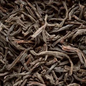 Ceylan O.P. supérieur