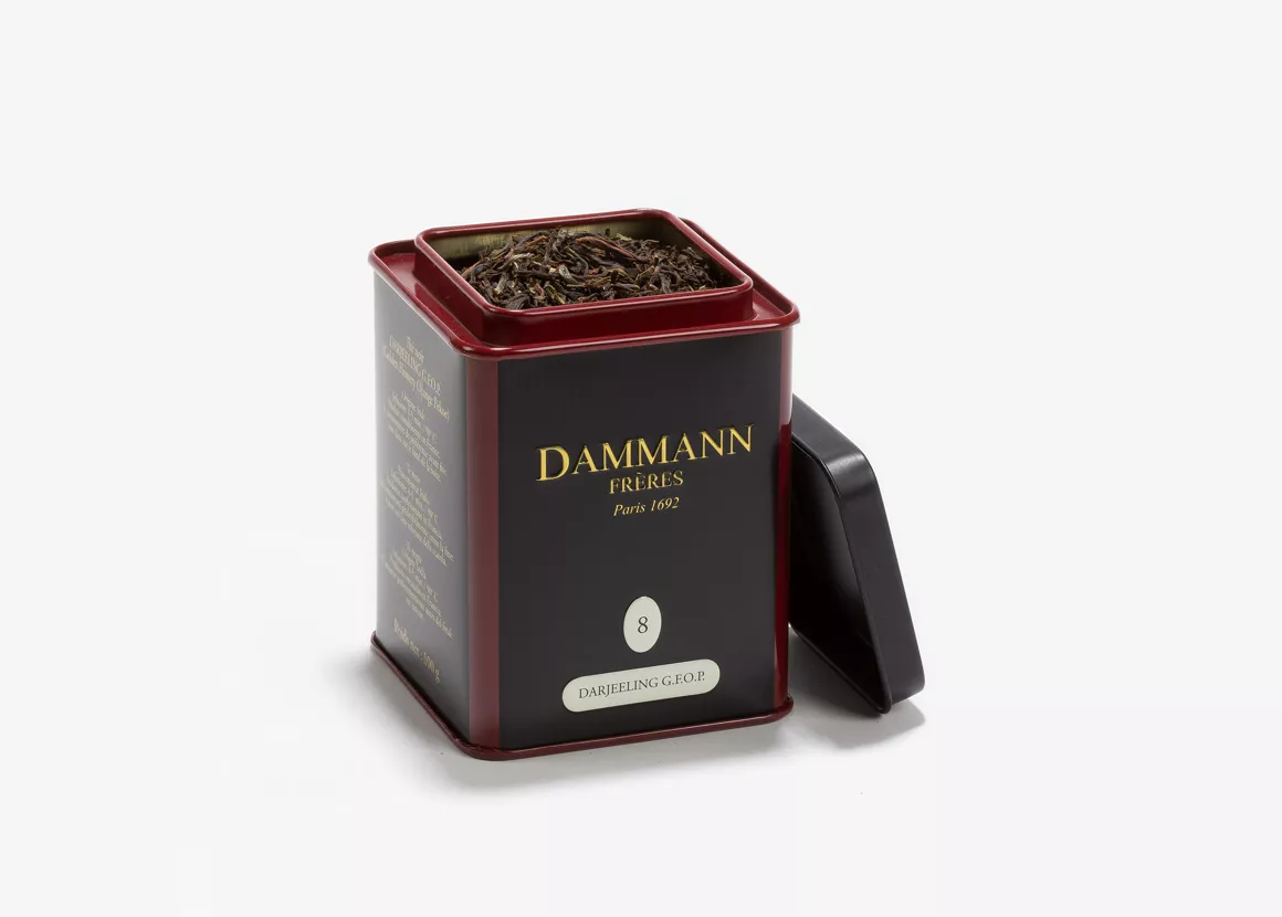 TIN Darjeeling